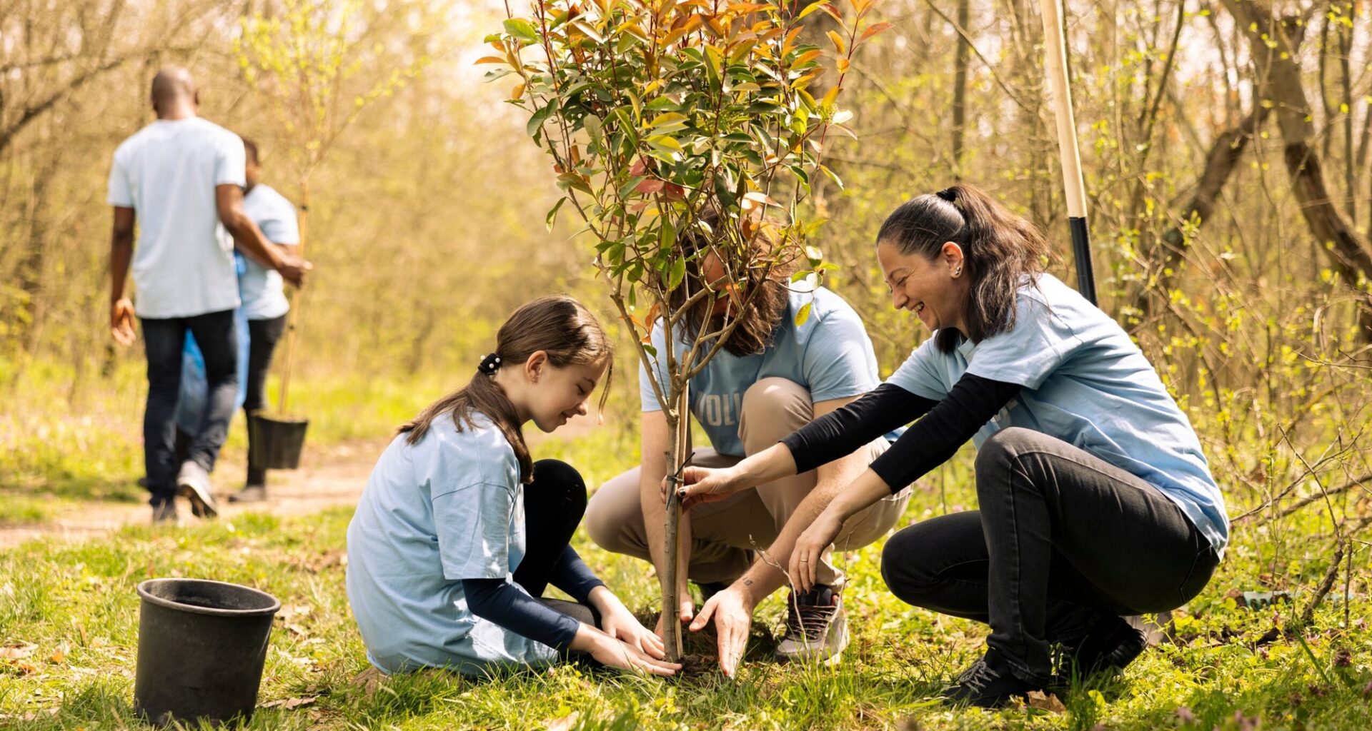 Planting a billion trees won't save the climate, however, the right ones might