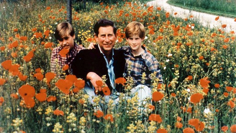 (L-R) William, Charles and Harry are seen in a 1994 Christmas card photo. Pic: Shutterstock