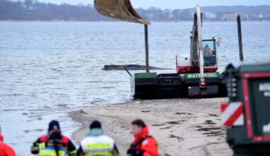 Whale rescue live: Experts in Germany race to save humpback stranded in shallow waters - Sky News