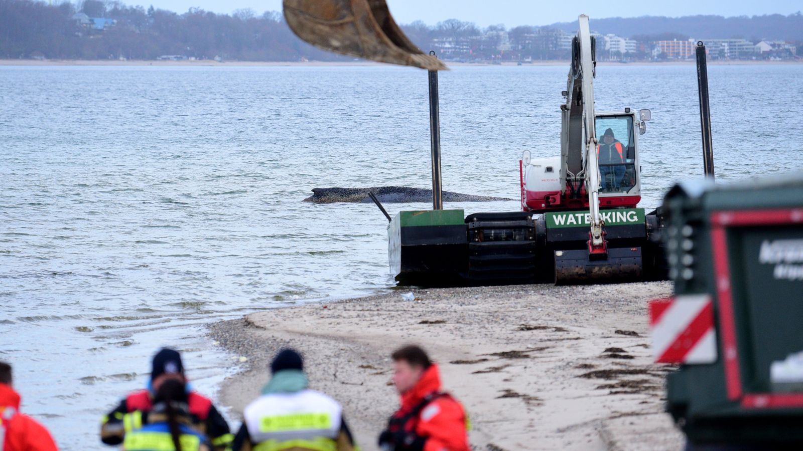 Whale rescue live: Experts in Germany race to save humpback stranded in shallow waters - Sky News