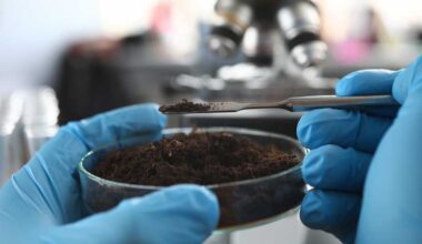 a highly focused image of a petri dish full of soil is held by two latex gloved hands