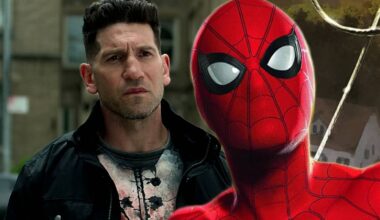 Hulk and Punisher's New Connection Officially Revealed Ahead of Spider-Man Team