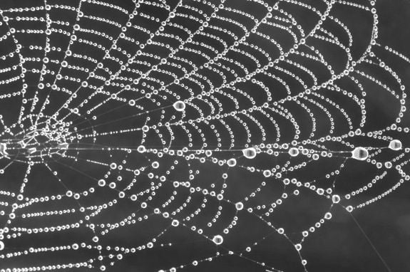 Google unleashes Gemini AI agents on the dark web • The Register