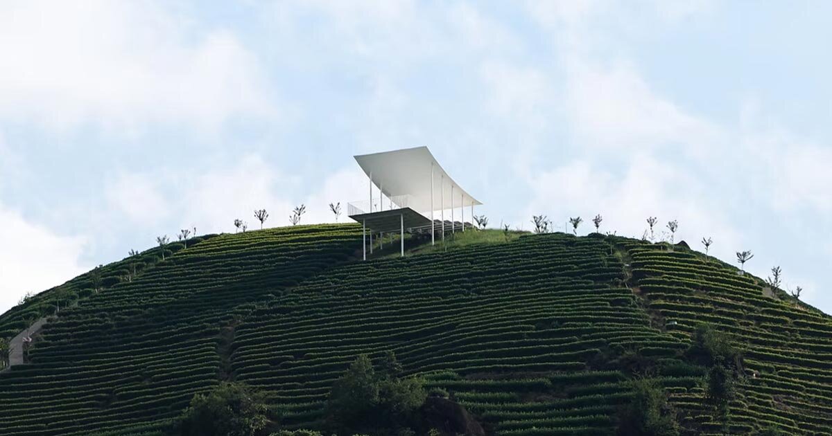 studio RE+N's floating pavilion hovers above chinese tea mountain