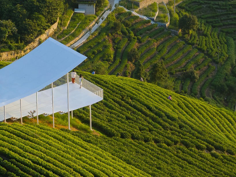 studio RE+N's floating pavilion hovers like a thin white wing above chinese tea mountain - 4