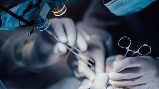 New Drug May Prevent Liver Damage After Bowel Surgery