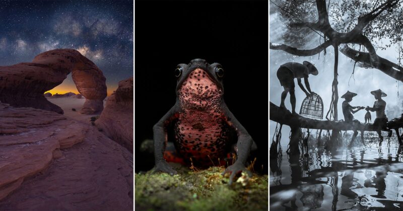 A collage of three photos: a natural rock arch under a starry sky, a close-up of a frog with a red and black belly, and three people in hats working near water with mist and trees in the background.