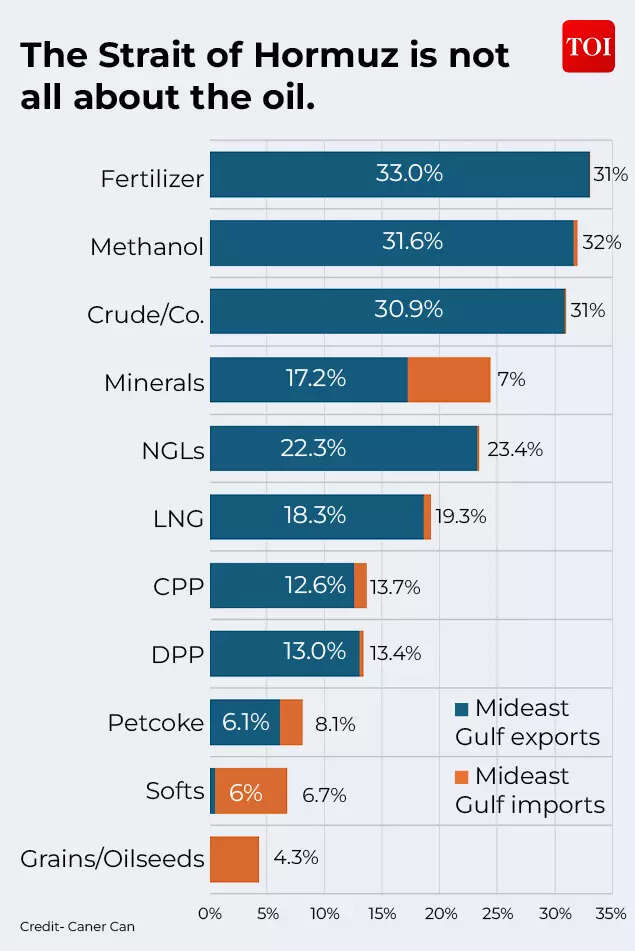 The Strait of Hormuz is not all about the oil.