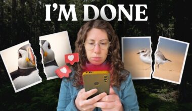 Instagram Changes Wildlife Photography Negatively