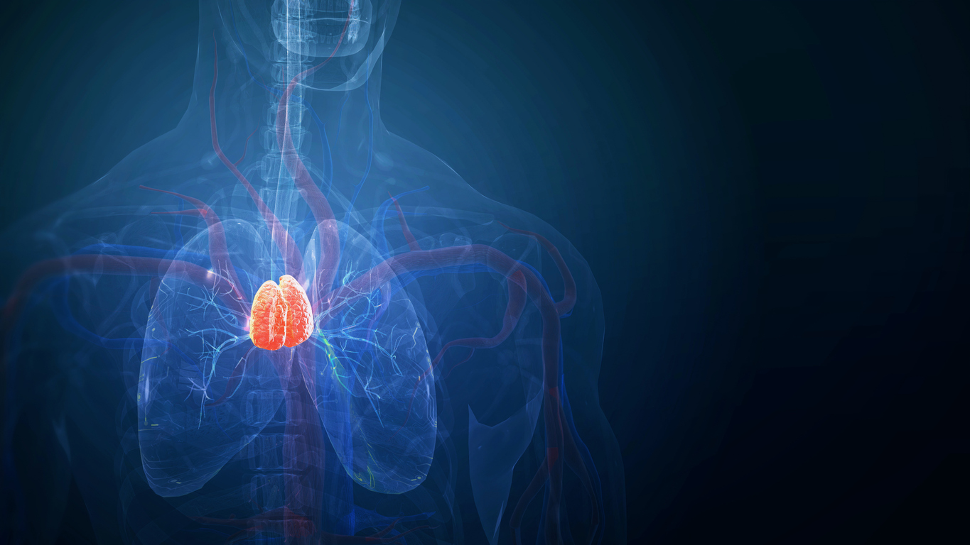 The Thymus Plays a Part in Adult Cancer Risk and Treatment Response