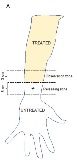 Diagram of an arm labeled "TREATED" and "UNTREATED," showing two 3 cm zones on the forearm—"Observation zone" and "Releasing zone"—for testing tick repellent like lemon eucalyptus oil.