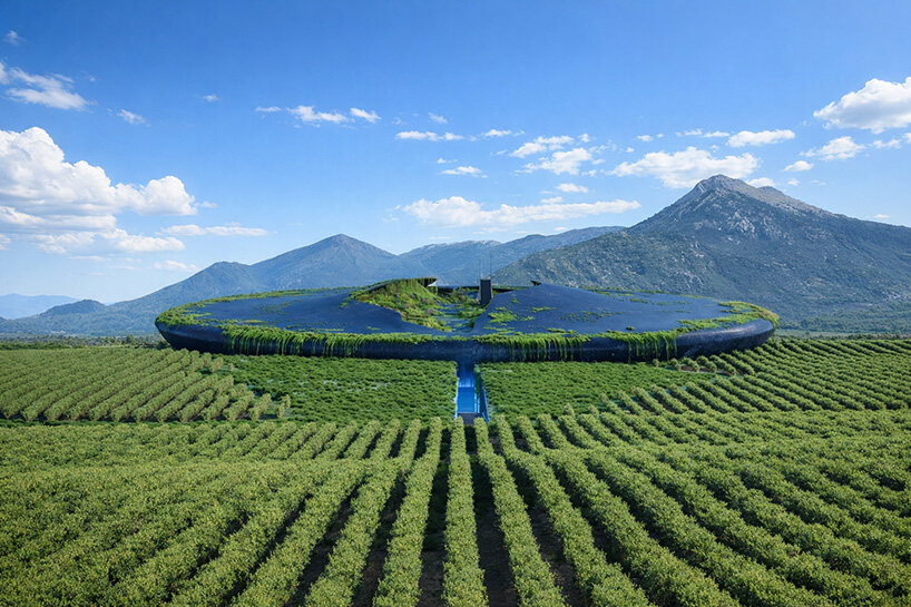 UFO-like winery by 314 architecture studio appears half buried in greek vineyards - 4