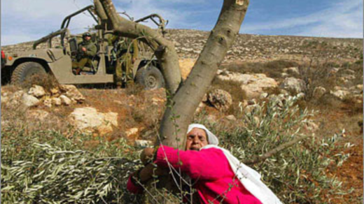 Al-Haq Marks International Women’s Day: “Palestine is a Feminist Issue”