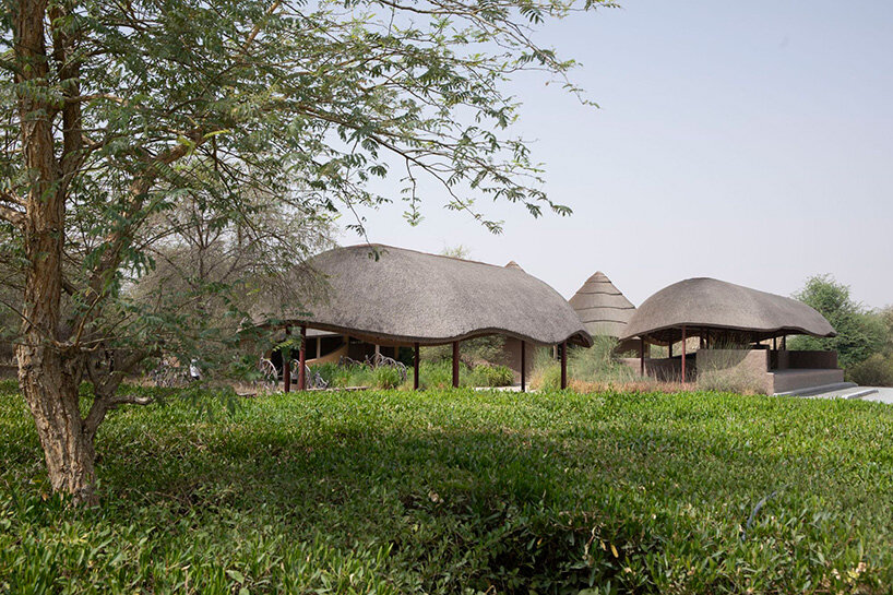 urko sanchez sharjah bridi