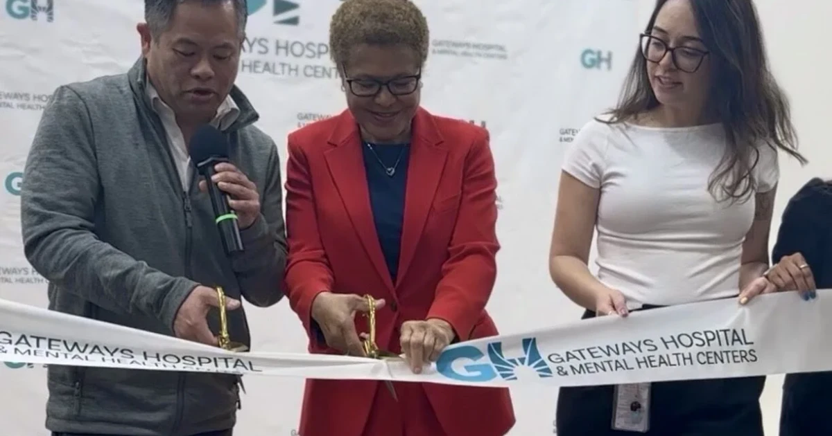 Mental health program