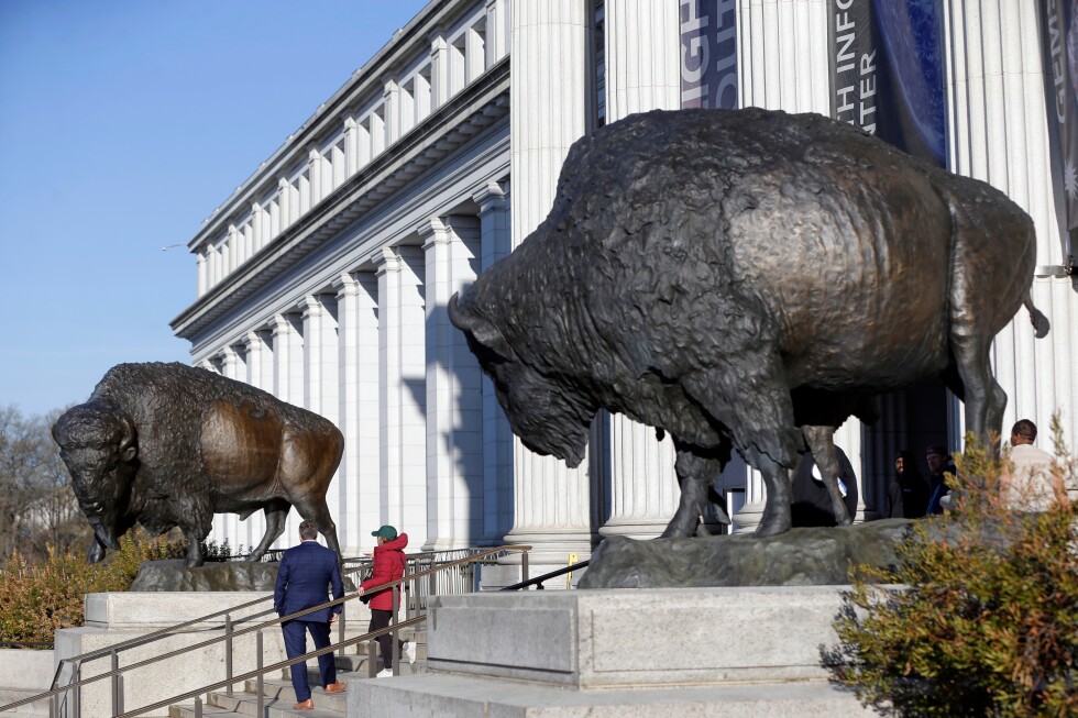 Bronze bison statues installed outside Smithsonian National Museum of Natural History