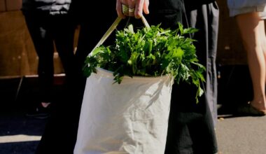 A street style photo essay of the Hollywood Farmers Market