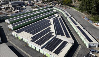 Renewable energy defies Trump’s attacks, reaching a new record