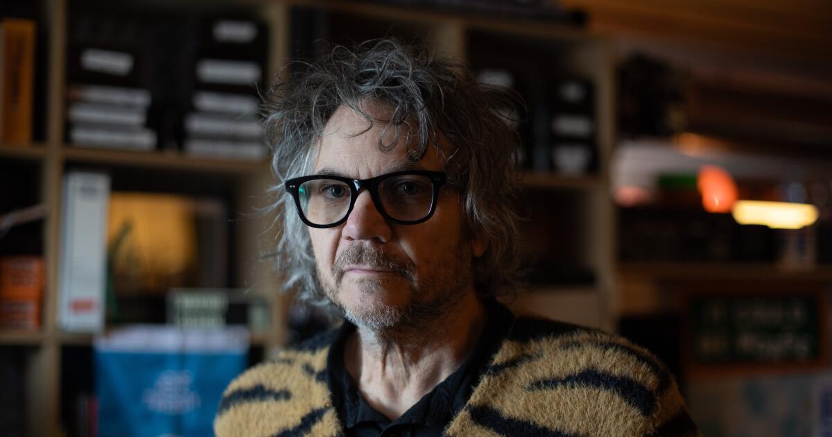 Wilco's Jeff Tweedy on Geese, ABBA and 'Twilight Override'
