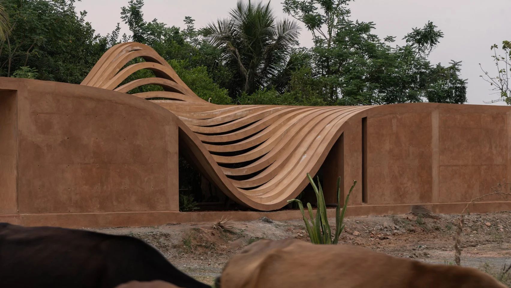 Eight houses that rethink the roof