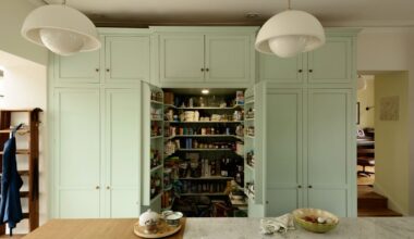 a mint green pantry cupboard open in a wood and white themed kitchen