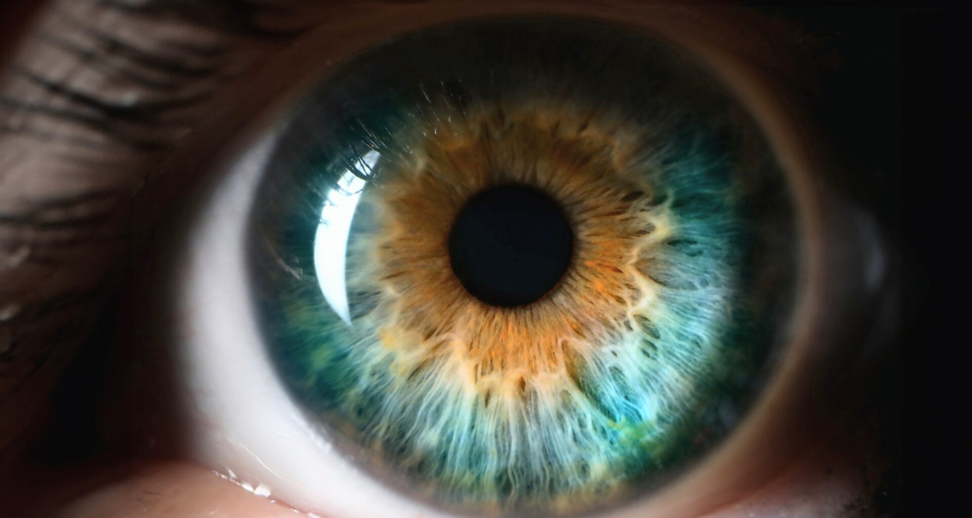 Wireless eye implant helps blind patients read again