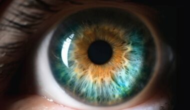 Wireless eye implant helps blind patients read again