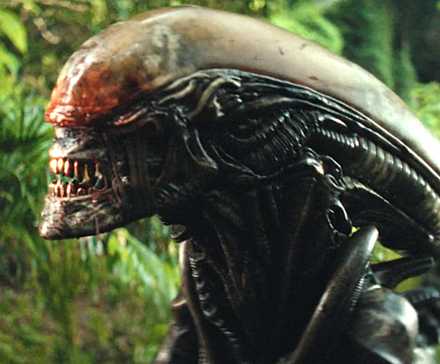 A Xenomorph with blood on its maw in Alien: Earth season 1, episode 7