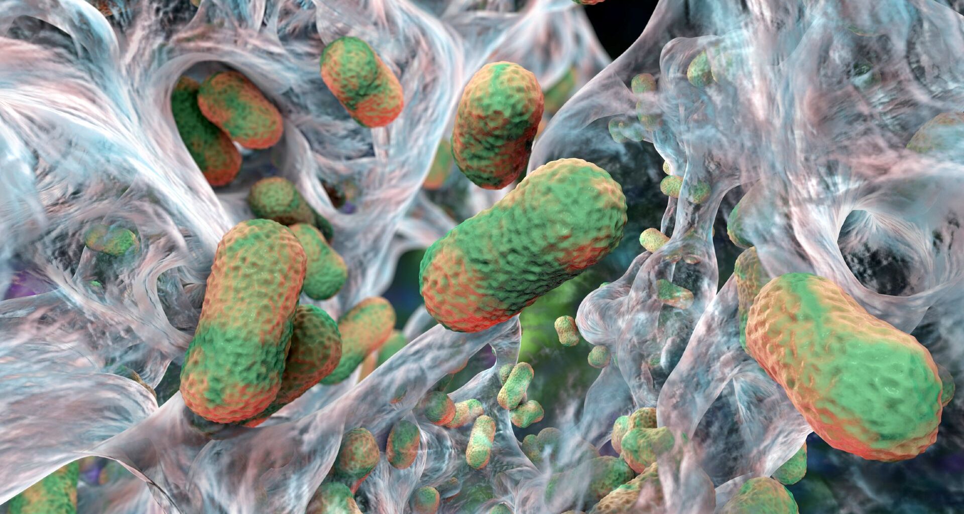 A 3D illustartion of green and orange cylindrical-shaped bacteria surrounded by webs of blue and white filaments