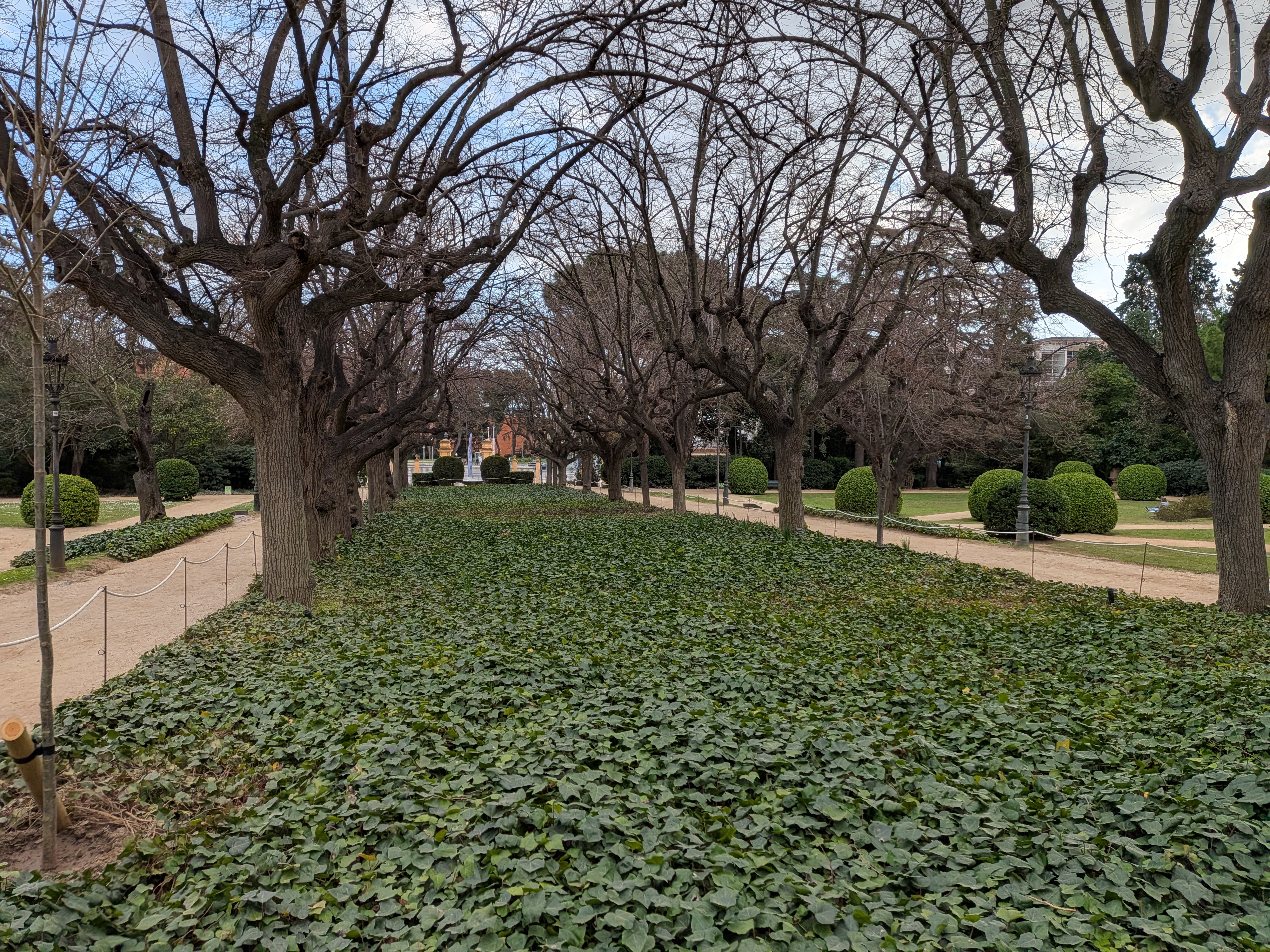 Photos captured with the Google Pixel 10a.