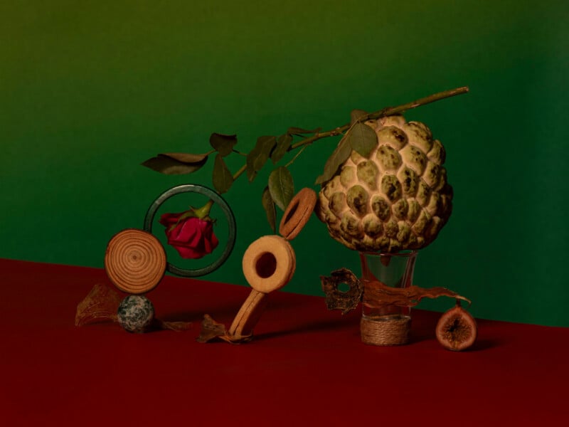A still life composition featuring a rose, a custard apple, wood circles, a glass cup, dried leaves, a fig, and other round objects, arranged on a red surface with a green gradient background.