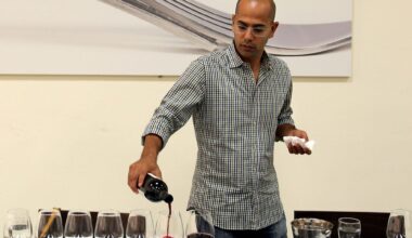 This war? Drink affordable Israeli wines