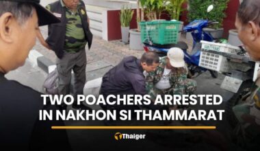 Photo of Chattarin Siradakul