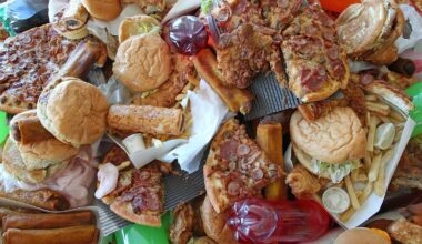 Dieters spend longer viewing food content online