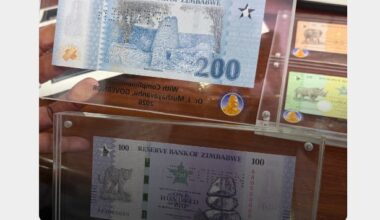 Zimbabwe: 'Even If You Introduce ZiG500, It's Useless,' Citizens React to Rollout of New Banknotes
