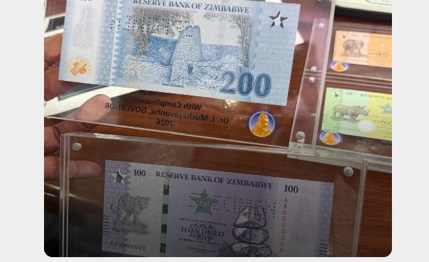 Zimbabwe: 'Even If You Introduce ZiG500, It's Useless,' Citizens React to Rollout of New Banknotes