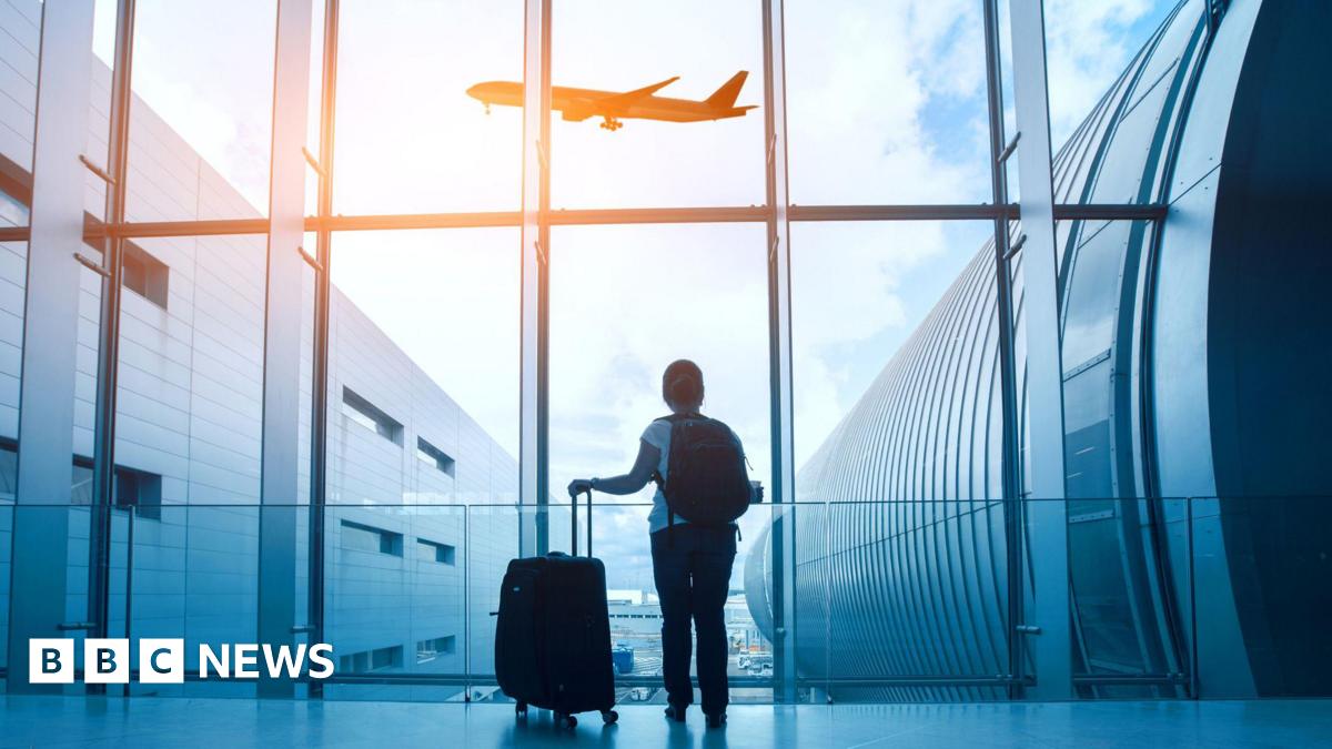 A woman with luggage stands with her back to the camera looking at a plane through a window.