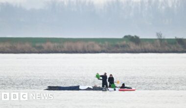 Rescuers to use air cushions in latest effort to save stranded whale - BBC