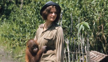 Biruté Galdikas obituary: orangutan expert and conservationist