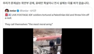 A video reposted by President Lee Jae Myung claiming that Israeli soldiers abused a Palestinian child and then threw him off a rooftop / Captured from President Lee Jae Myung