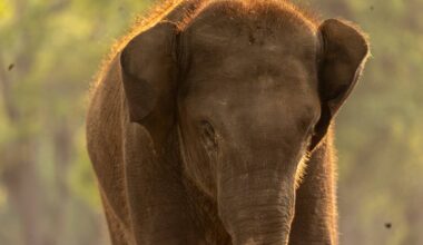 Yahoo lifestyle home