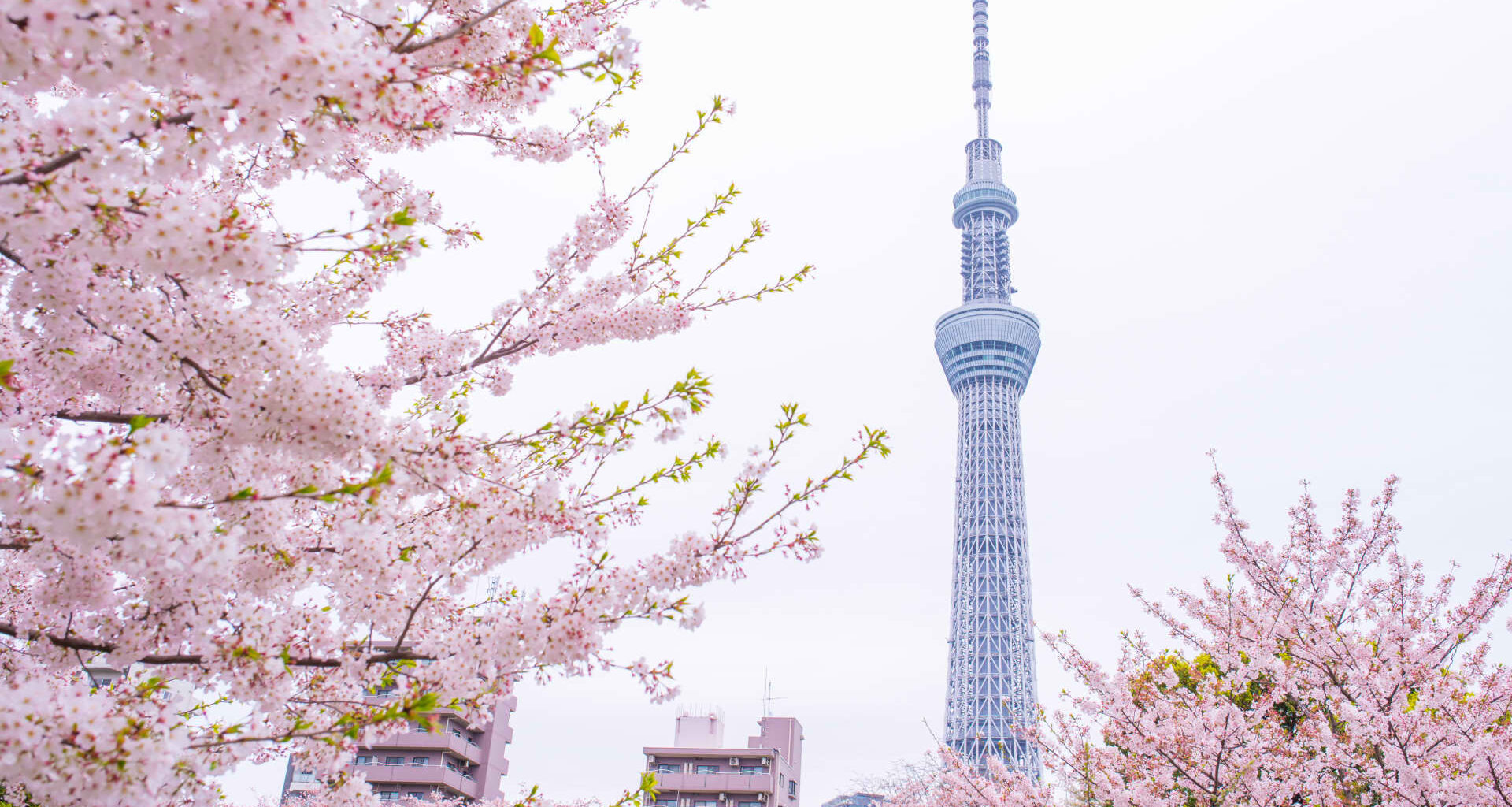 Asia-Pacific markets mostly rise in Easter trade on hopes for Hormuz reopening