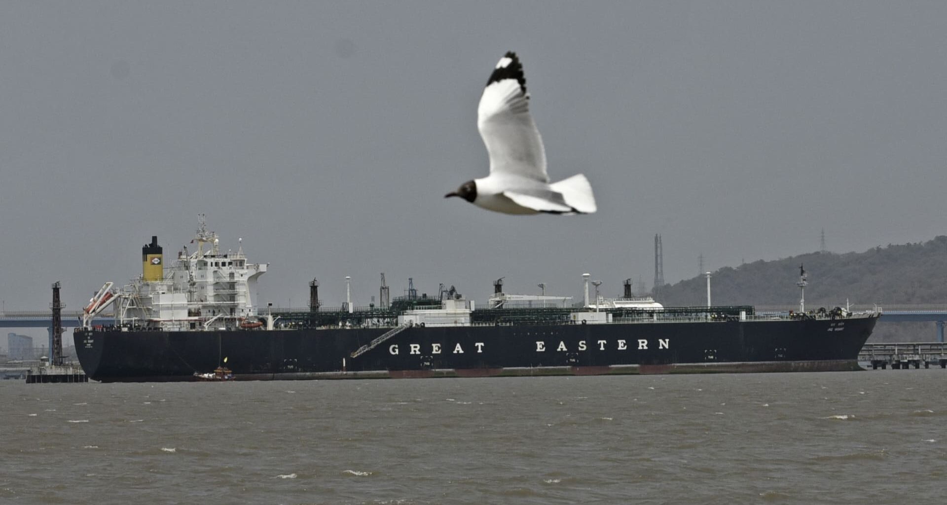 Iran war drags India’s goods exports 7% lower in March — more pain ahead