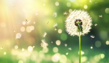 Artificial Intelligence Improves Seasonal Allergic Rhinitis Diagnosis