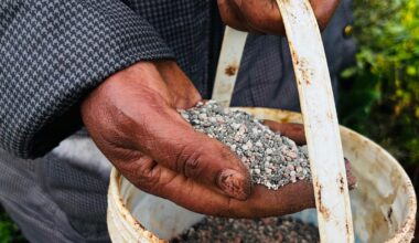 Middle East tensions drives global food prices higher for second month