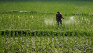 Study links exposure to agricultural pesticides to cancer risk