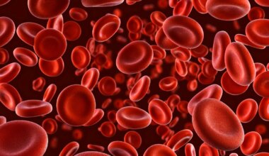 A computer rendering of red blood cells.