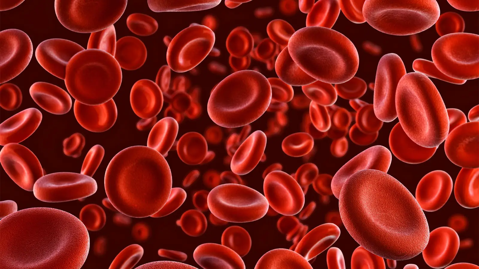 A computer rendering of red blood cells.
