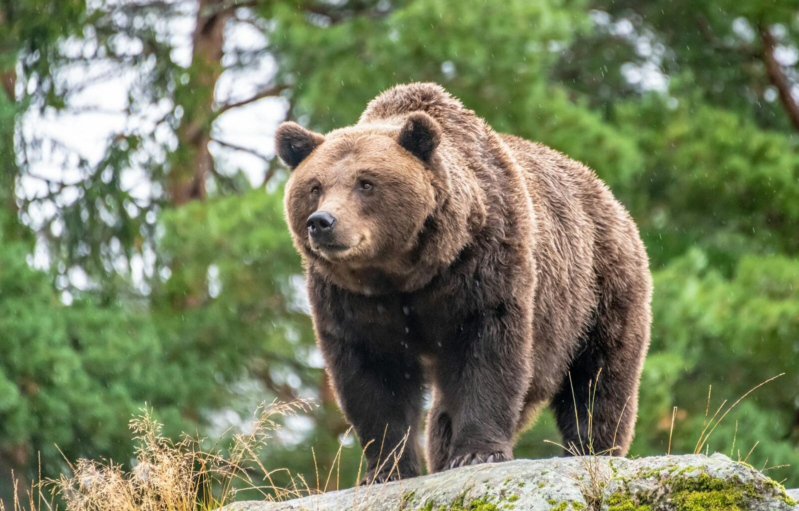 Stocks dip ahead of tomorrow’s scheduled talks between the US and Iran