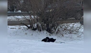 Woman Runs To Help 'Shivering Angels' Cuddled Together In Snowbank